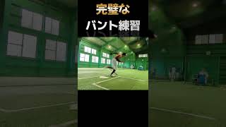 完璧なセーフティバントの練習#ソフトボール#softball#野球