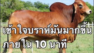 EP7 - เข้าใจบราห์มันมากขึ้นใน 10 นาที