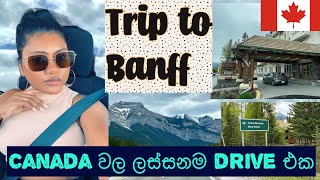 Canada වල ලස්සනම Drive එක | Most scenic drive in Canada 🇨🇦 | Part 1| Sinhala