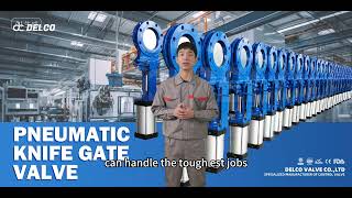 Pneumatic Knife Gate Valves – Harsh industrial environment with slurry/powder flow!