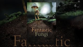 Fantastic Fungi