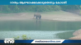 അരിക്കൊമ്പനെ പിടികൂടി പറമ്പിക്കുളത്തേക്ക് മാറ്റണമെന്ന് ഹൈക്കോടതി