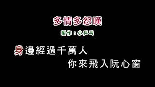 (演唱版)王瑞霞-多情多怨嘆(DIY卡拉OK字幕)