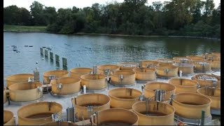 Horn Point Lab \u0026 Oyster Hatchery Tour