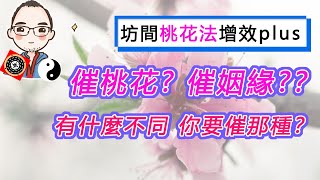 催桃花和催姻緣什麼不同 你應該催那種？附加坊間桃花法增效plus