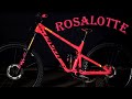 Pivot DREAM BIKE | Pivot Switchblade CF Talon | Rosalotte - Tim Bachmann