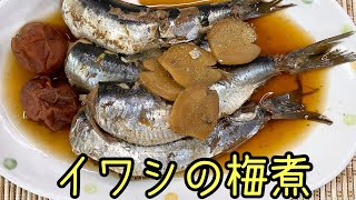 【さかな料理】骨ごと食べる！電気圧力鍋で作る簡単イワシの梅煮