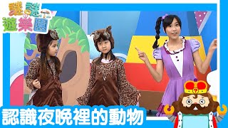 謎謎遊樂園｜夜晚出現的動物｜樂韻幼兒園 ｜2021.03.29