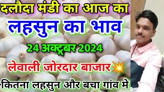 दलौदा मंडी आज का लहसुन का भाव 24 अक्टूबर 2024 | garlic rate today daloda mandi