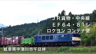 ＥＦ６４ロクヨン・８１レ・コンテナ便・ＪＲ貨物・岐阜県中津川市千旦林