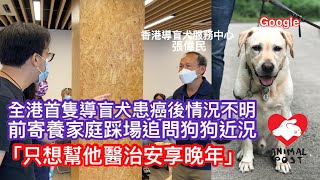 全港首隻導盲犬患癌後情況不明　前寄養家庭踩場追問機構狗狗情況