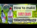 How to make DIY CO2 for planted aquarium with vinegar and soda || underwater life