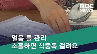 [스마트 리빙] 얼음 틀 관리 소홀하면 식중독 걸려요 (2019.06.13/뉴스투데이/MBC)