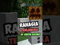 Rahasia Terlangka Dari Snow Biome Di Minecraft #shorts #prodiggie