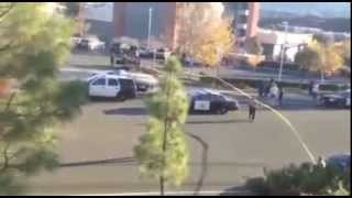Crazy footage at the scene of Paul Walkers (after Car Accident)