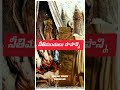 నీతిమంతులు ఎలా ఉంటారు jesus bible god youtubeshorts shorts ytshorts yt