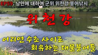 EP59. 낭만에 대하여 | 어리연 | 차대고 1보 | 군위 | 위천강 | 붕어낚시 | Crucian Carp Fishing