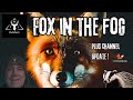 MFL Outdoors - Foxing In The Fog || Tawny Owl On The Partridge Pens || Channel News Update !