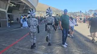 Funky Zebras at SVNS Rugby CPT 2023