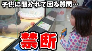 「どうやってわんわん作るの～？」って無邪気に聞かれたらみんななら何て答える？【ペットショップ】