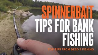 Top Spinnerbait Tips for Bank Fishing