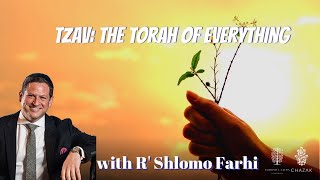 Tzav - The Torah of Everything