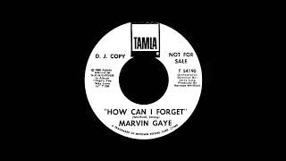 Marvin Gaye - How Can I Forget