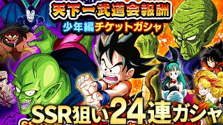 【ドッカンバトル】SSR 神様狙い 少年編チケットガシャ 第8回天下一武道会報酬 24連ガチャ引いてみた！