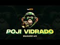 POJI VIDRADO (Brasilero Mix)🎺🇧🇷 Irsal Palevi