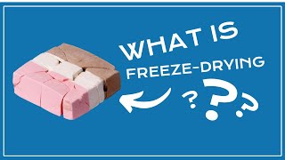 How Does Freeze Drying Work?