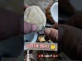 amazing fruit is coconut আশ্চর্যজনক ফল নারকেল satisfying short shortsvideo amazing coconut