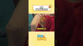 猫：瞅你那死出 #猫咪 #猫咪的心思都写在脸上了#shorts