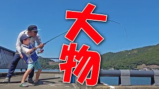 ダイキの夏休み【手ぶらで行ける海釣り編】