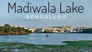 Lake - Madiwala Lake | BTM 2nd Stage | Bengaluru