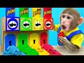 KiKi Monkey play Magical Colorful Pringles Machine and eat four color ice cream | KUDO ANIMAL KIKI