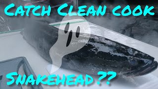 Snakehead (Frankenfish) Catch Clean Cook! 2 Recipes/How to Clean