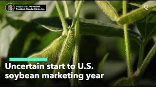 U.S. Soybean Farmers Face an Uncertain Marketing Year