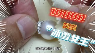 一颗的澳白珍珠10000多？#珍珠 #金珍珠 #海水珍珠 #Pearl