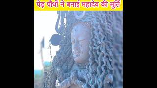 प्रकृति ने बनाई महादेव की ये मूर्ति 😱 ~ Everyone Should Know This #facts #mahadev#nature@FactSorab