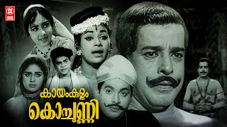 Kayamkulam Kochunni (1966) Malayalam Full Movie | Sathyan | Adoor Bhasi | Malayalam Old Movies