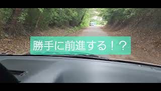 久米島『おばけ坂』！上り坂なのに…車が勝手に前進を始めるミステリースポット！