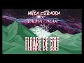 mitza estradda floare de colt ft. pacha man