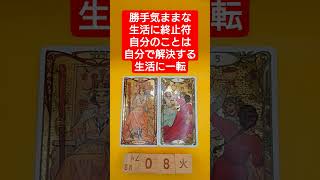 おみくじ的タロット占い「勝手気ままな生活に終止符」