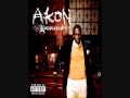 Akon - No Labels