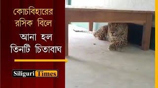 Three new additions to Rasikbeel Mini Zoo in Cooch Behar (Bangla)