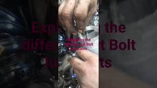 lubricating the bolts with an explanation