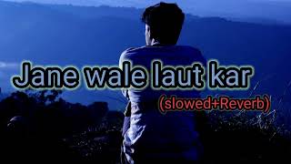 Jane Wale laut kar (Slowed+Reverb)- B Praak  song | lofi music 8.7M