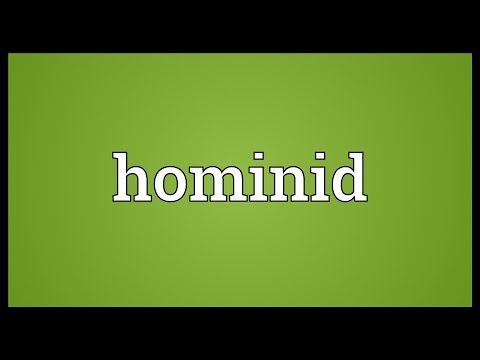 What does hominid mean?
