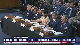 Top Intelligence Officials Testify About National Security Text Leak
