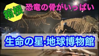 恐竜の骨がいっぱい　生命の星・地球博物館